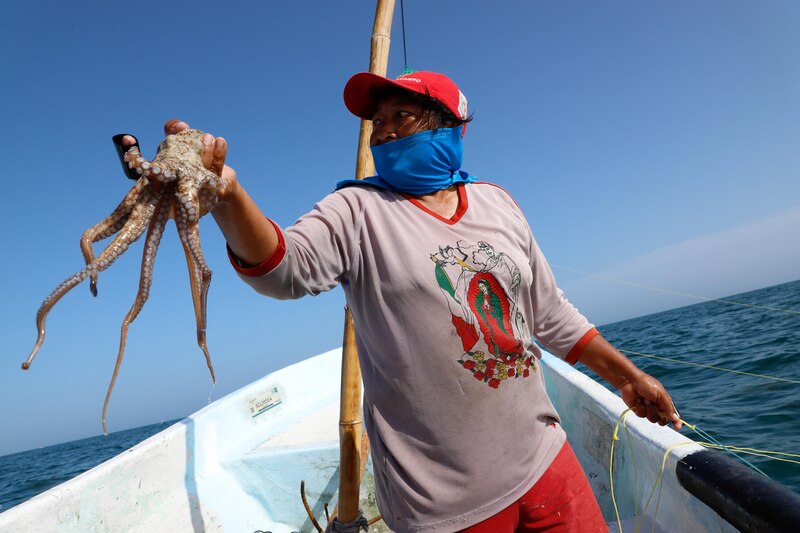 Mujer pescadora sostiene un pulpo en sus manos