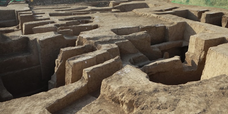 Excavación arqueológica en España