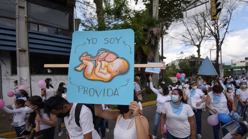 Marcha provida en Argentina