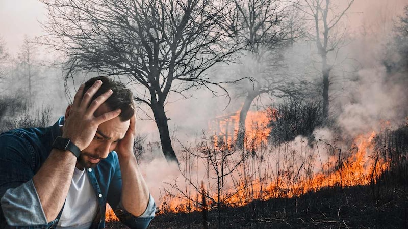 Incendios forestales: una amenaza creciente