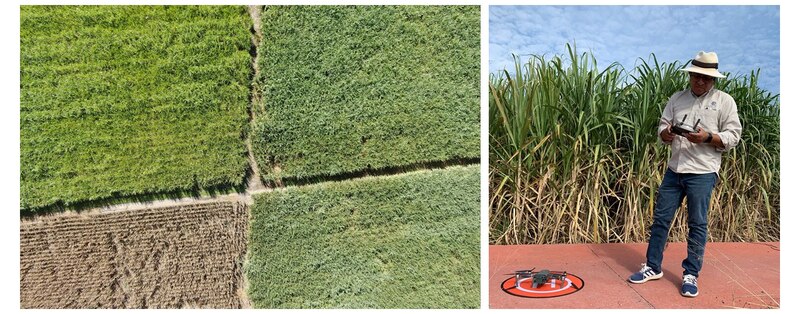 El uso de drones en la agricultura