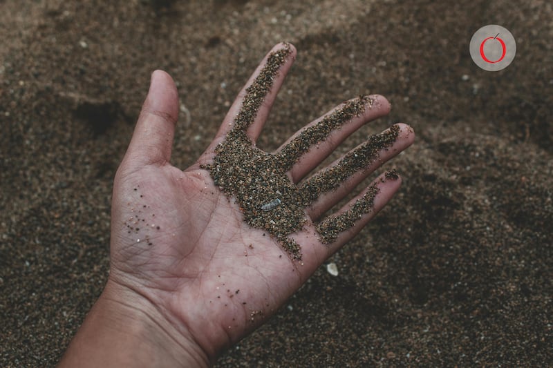 Científicos descubren un séptimo sentido