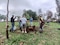 El colectivo Defendamos el Cerro de la Reina cumplió 10 años con plantación de árboles