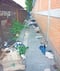 Basura en andador de la Secundaria 293 obliga a estudiantes a caminar entre autos en Iztapalapa