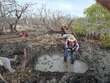Las actividades de restauración y las mujeres en acción 