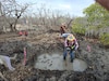 Las actividades de restauración y las mujeres en acción 