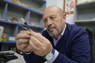 UAEH evalúa la calidad ambiental mediante el plumaje de aves 