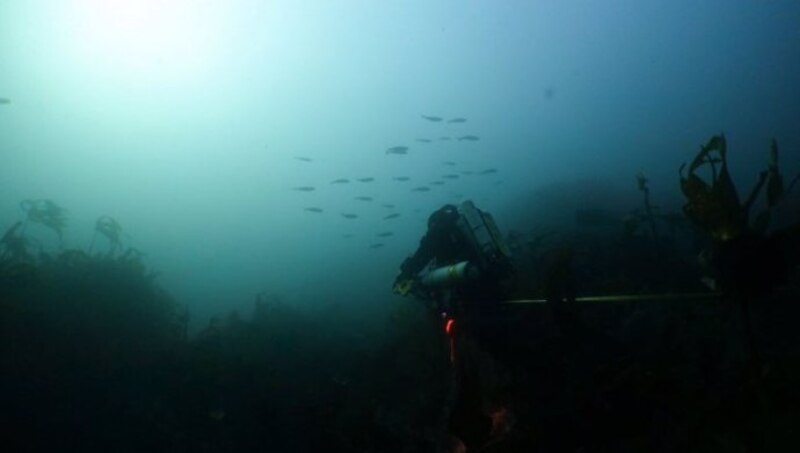 Buceo en aguas profundas