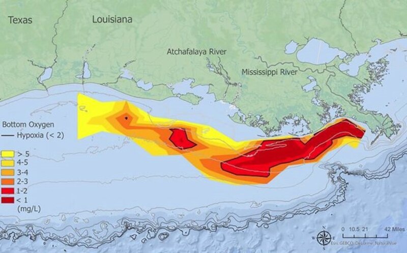 Mapa de la zona hipóxica del Golfo de México