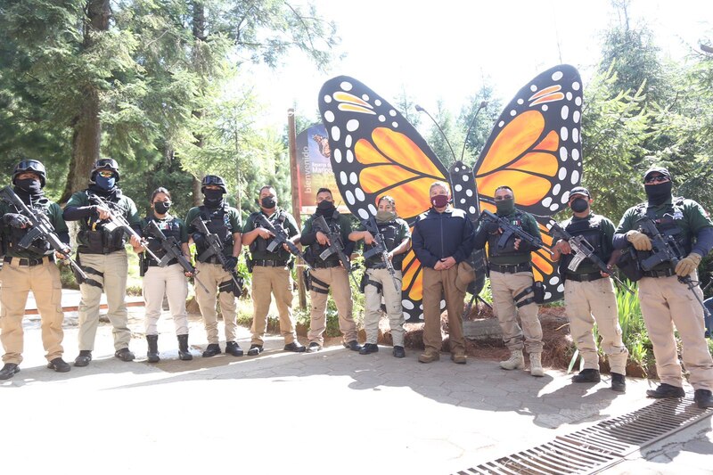Guardia Nacional resguarda la Reserva de la Biosfera de la Mariposa Monarca