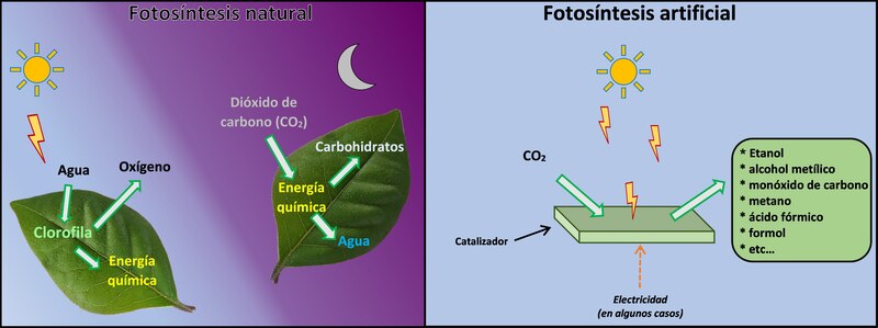 Fotosíntesis natural vs. fotosíntesis artificial