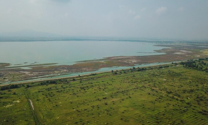Laguna salada y marismas