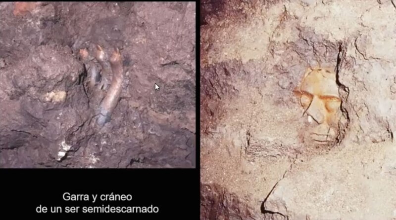 Garra y cráneo de un ser semidescarnado