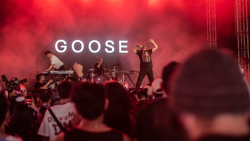 ¡Goose en concierto!