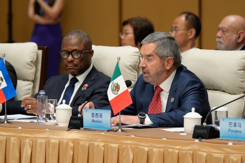 El canciller Juan Ramón de la Fuente, durante su participación en la IV Reunión Ministerial del Foro China-Comunidad de Estados Latinoamericanos y Caribeños (CELAC), que se realiza en Beijin, China