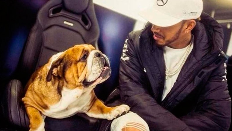 Lewis Hamilton y su perro Roscoe
