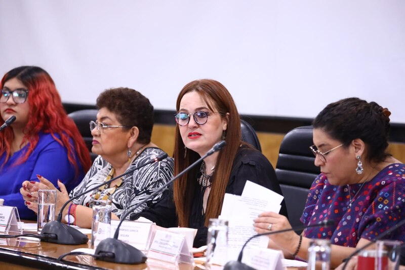 Conferencia de prensa sobre la violencia contra las mujeres