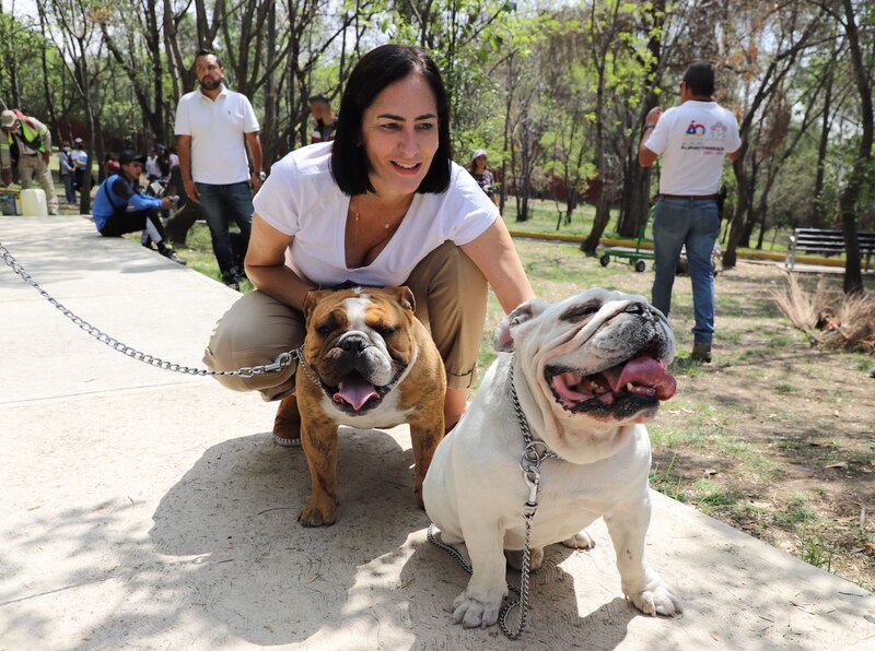 Mujer con perros bulldog