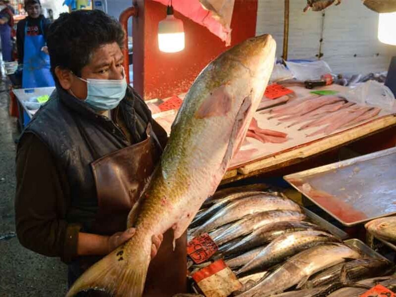 Un pescador sostiene un gran róbalo en sus manos