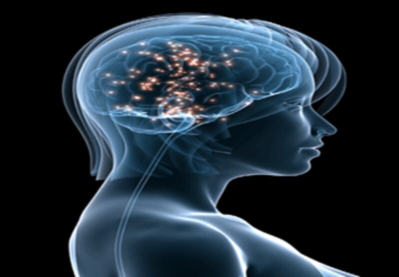 Cerebro humano