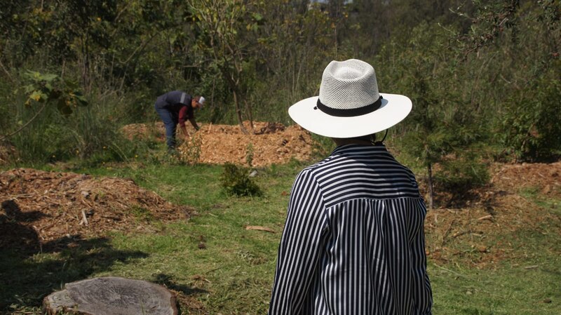 Mujer mirando a un hombre trabajando en el jardín