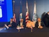 AMACARGA fortalece acciones para impulsar la seguridad en el comercio internacional