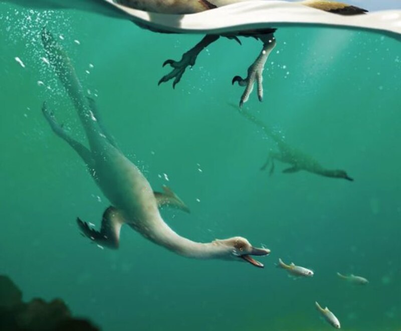 Un plesiosaurio caza un pez