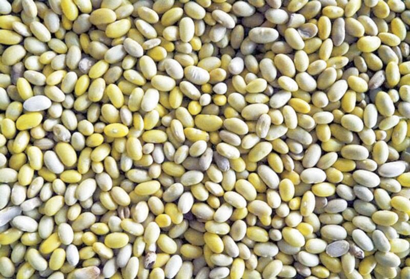 Frijoles amarillos
