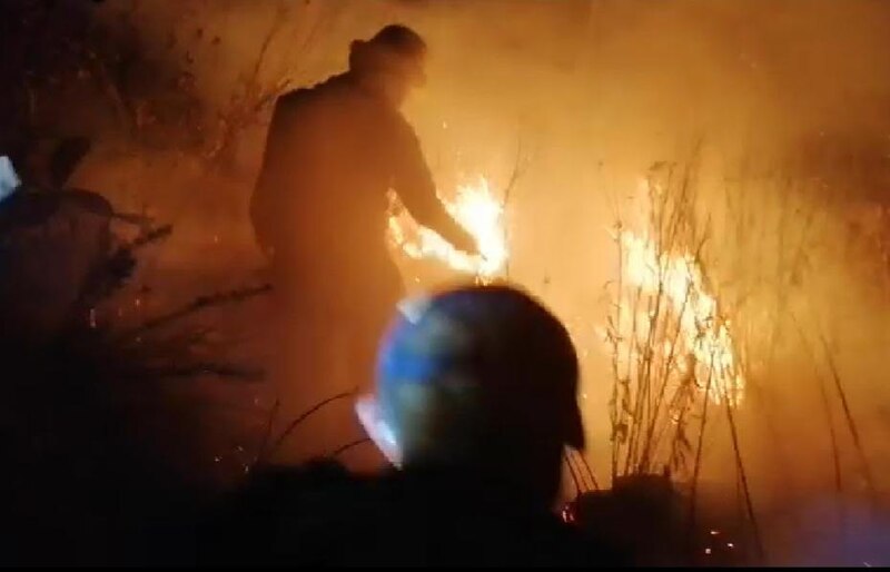 Bomberos combaten incendio forestal