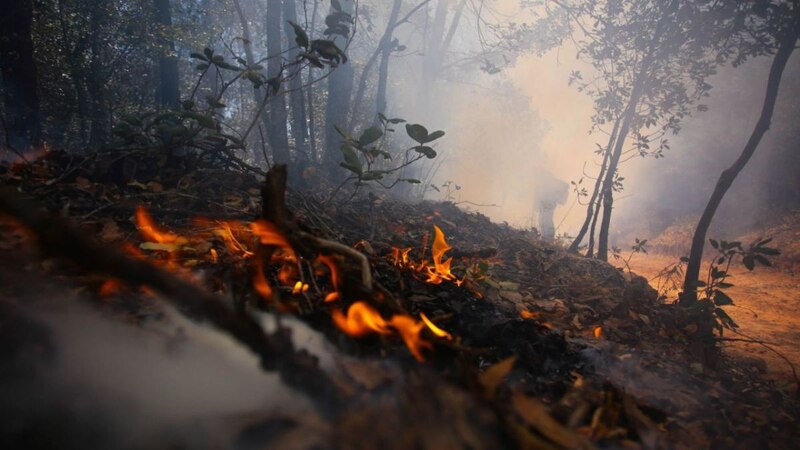 Incendios forestales en España