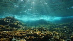 Ecos del Agua: Destellos en la oscuridad