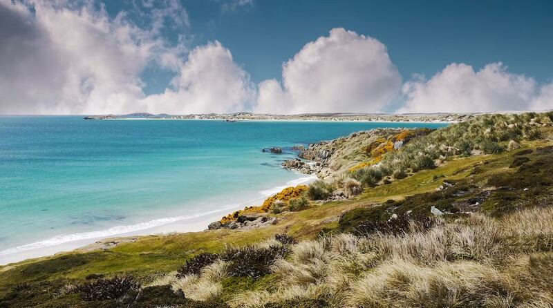 Una hermosa costa con aguas cristalinas y una playa de arena blanca.