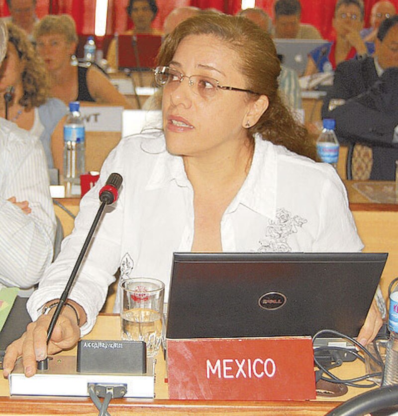 La Secretaria de Relaciones Exteriores, Patricia Espinosa, en una conferencia de prensa.