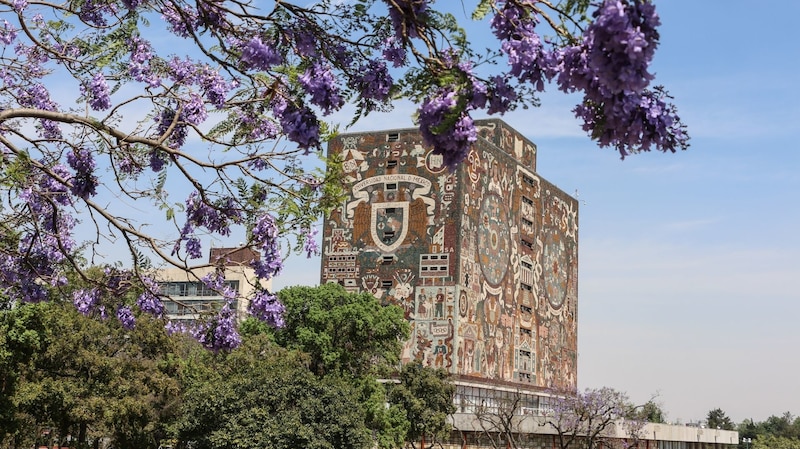 Universidad Nacional Autónoma de México