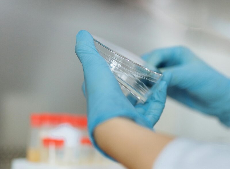 Estudio microbiológico de infecciones bacterianas