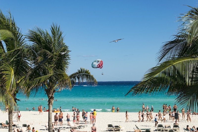 Playa con palmeras y mar azul turquesa