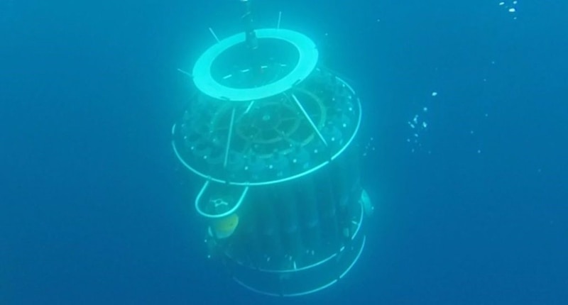Un ROV (vehículo operado remotamente) explora las profundidades del océano.