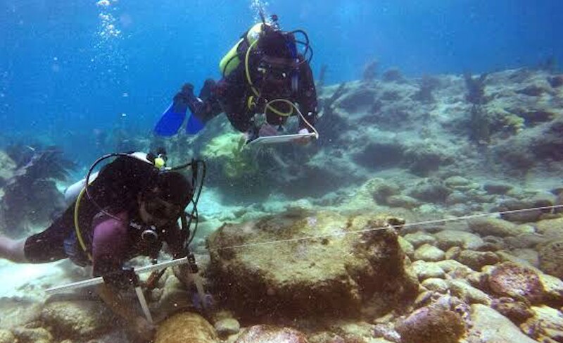 Arqueólogos submarinos trabajando en un pecio