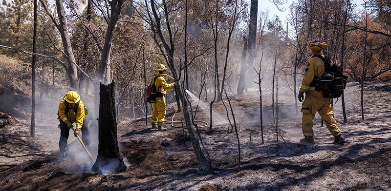 Bomberos combaten un incendio forestal