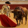 Propuesta de los diputados en Hidalgo pretende declarar  “fiesta brava” como patrimonio cultural inmaterial