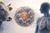 Tuberculosis bovina y humana: un puente molecular bajo el enfoque Una Sola Salud