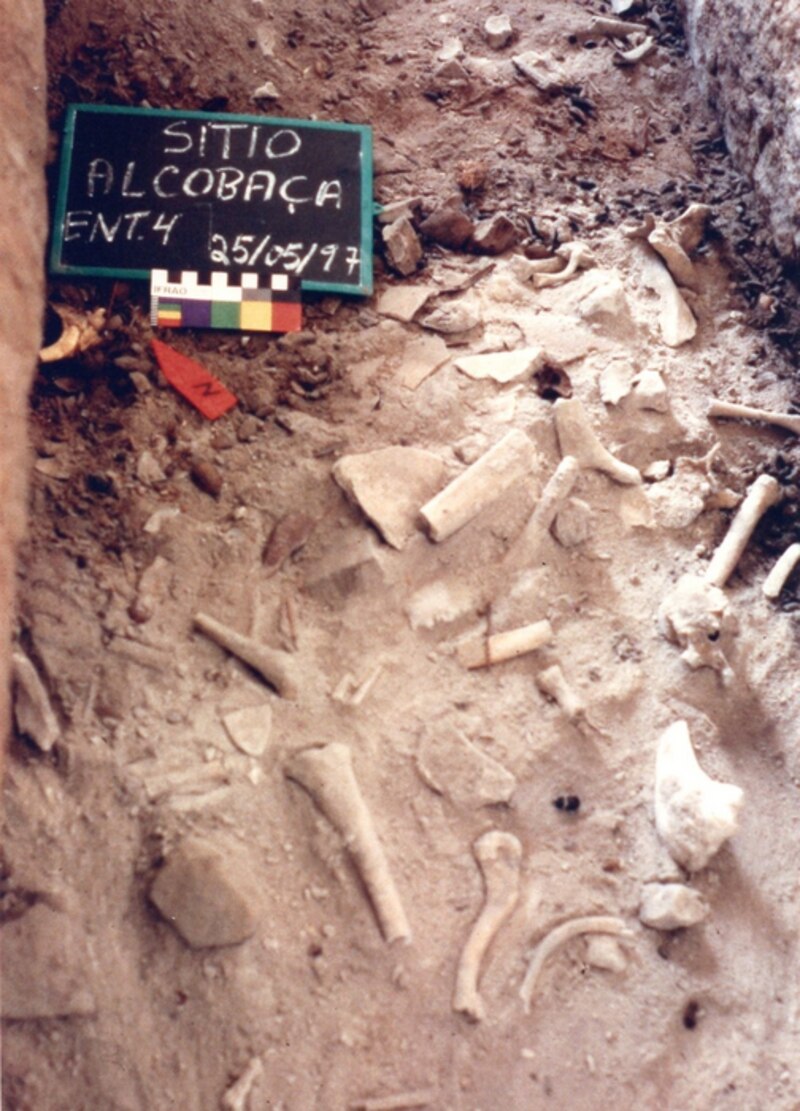 Excavación arqueológica en el sitio de Alcobaca