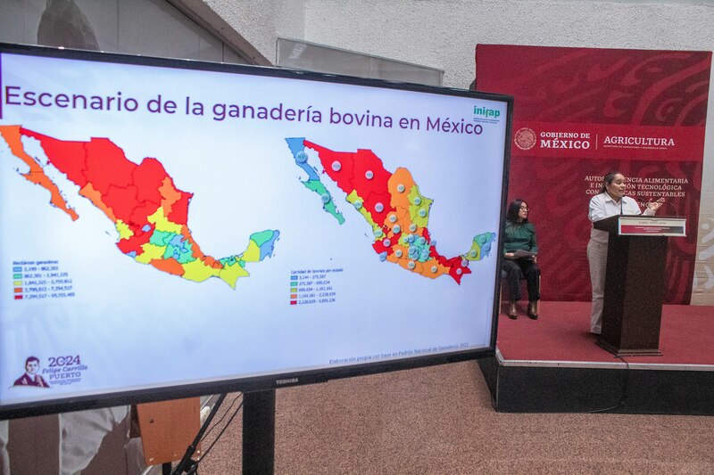Escenario de la ganadería bovina en México