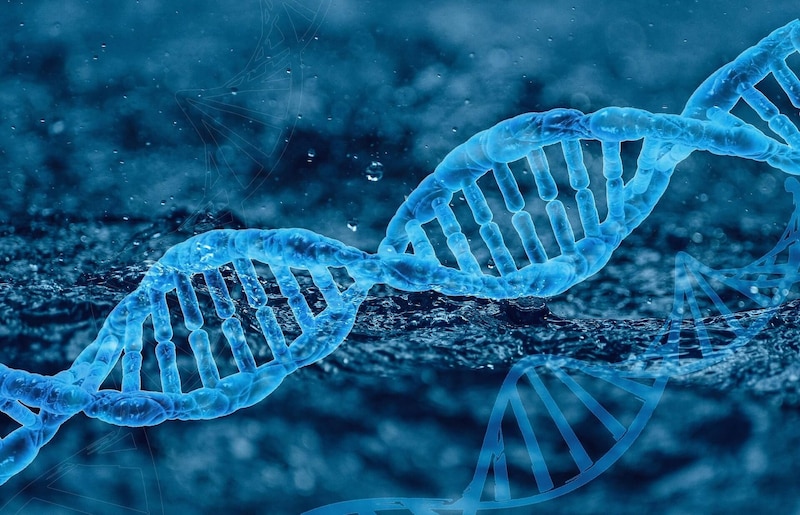 La imagen muestra una doble hélice de ADN, la molécula que contiene las instrucciones genéticas de los seres vivos.