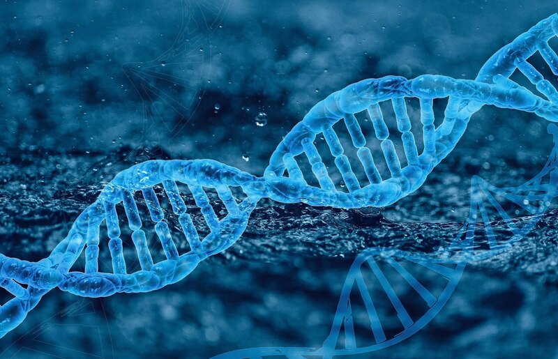 La imagen muestra una doble hélice de ADN, la molécula que contiene las instrucciones genéticas de los seres vivos.