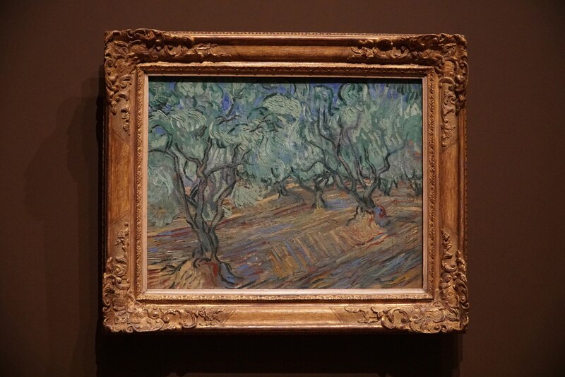 Los olivos