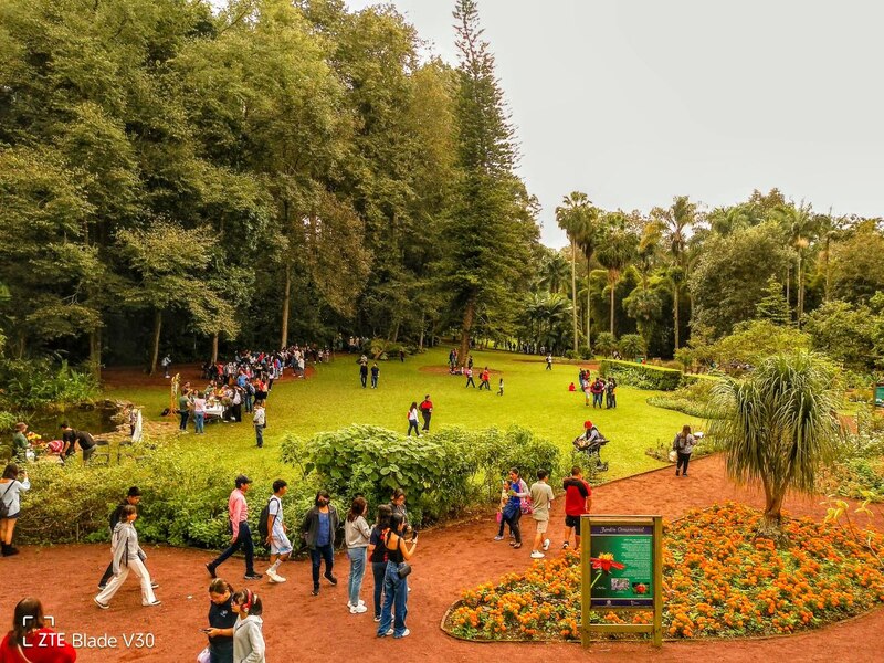 En el Jardín Etnobiológico de Veracruz hemos desarrollado un nuevo sistema de letreros interpretativos para las diferentes secciones que integran la colección entobiológica
