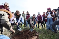 Arranca Jornada Nacional de Reforestación; van por 6.6 millones de árboles y más de 32 mil hectáreas