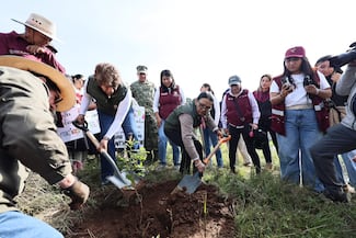 Arranca Jornada Nacional de Reforestación; van por 6.6 millones de árboles y más de 32 mil hectáreas