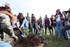 Arranca Jornada Nacional de Reforestación; van por 6.6 millones de árboles y más de 32 mil hectáreas